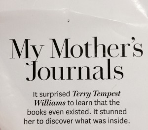 my_mothers_journals
