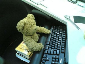 Teddy Bear at Work